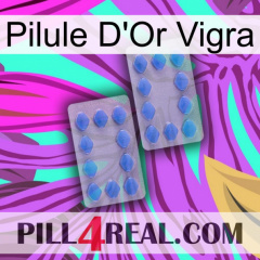 Vigra Gold Pill 20